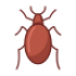 icons8-bed-bug-64
